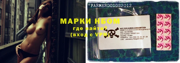 индика Алексин