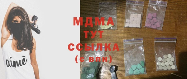 индика Алексин