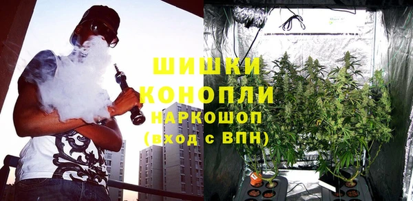 индика Алексин