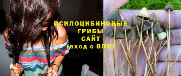 индика Алексин