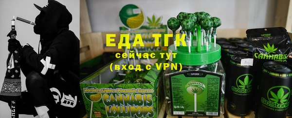 индика Алексин